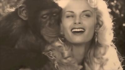 vintage Taboo, slit & Pooch